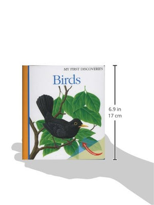 Birds (15) (My First Discoveries),Used