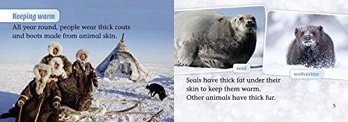 Arctic Life: Band 04/Blue (Collins Big Cat),Used