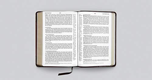 Esv Personal Reference Bible (Trutone, Brown/Walnut, Portfolio Design)