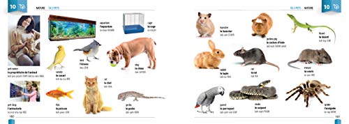 Berlitz Picture Dictionary French (Berlitz Picture Dictionaries)