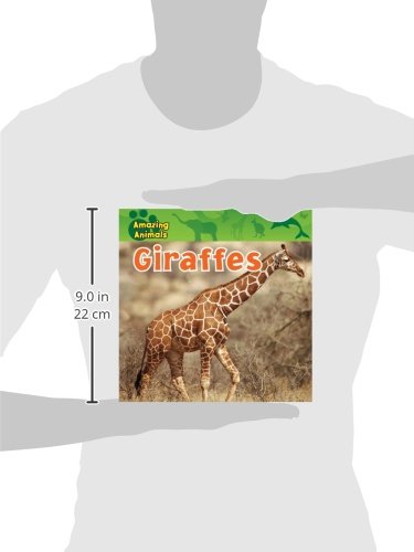 Giraffes (Amazing Animals),Used