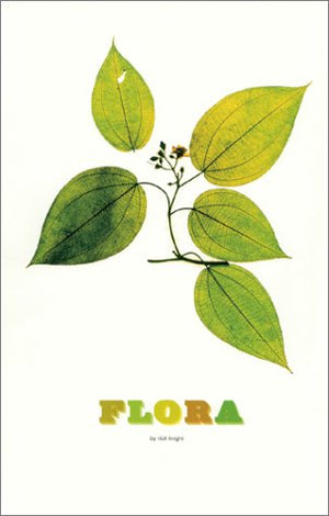 Flora