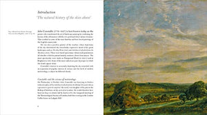 Constable's Skies (V&A Artists in Focus),Used