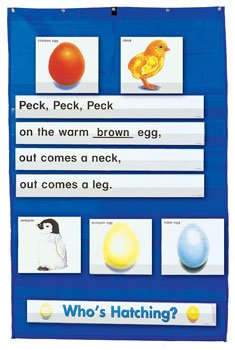 Scholastic Interactive Pocket Charts: Eggs/Life Cycles: The Handson Way to Build Reading Skills! (Scholastic Interactive Pocket,Used