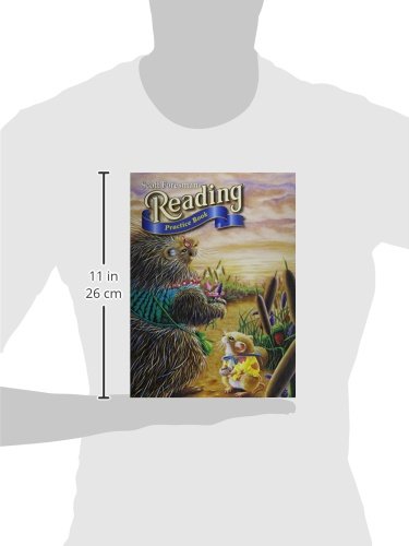 Reading 2004 Practice Book Grade 1.6,Used