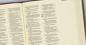 ESV Journaling Bible (Mocha, Threshold Design),New