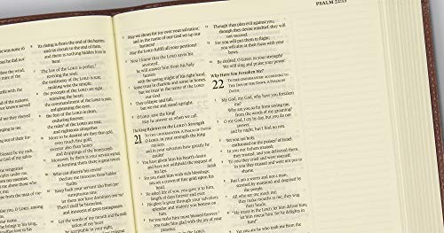 ESV Journaling Bible (Mocha, Threshold Design),Used