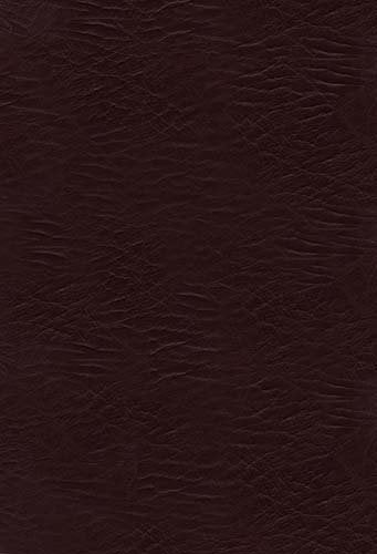 Nkjv Jesus Calling Devotional Bible: Enjoying Peace In His Presence, Burgundy, Bonded Leather