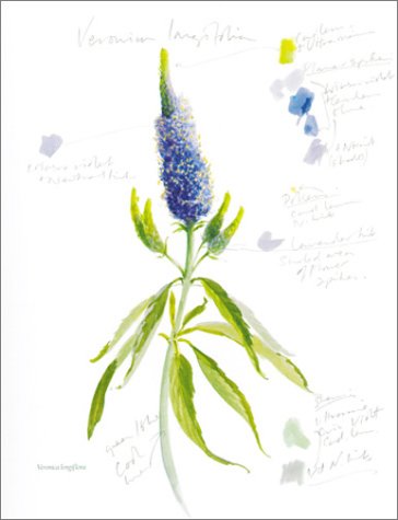 Painting Flowers in Watercolour: A Naturalistic Approach,New
