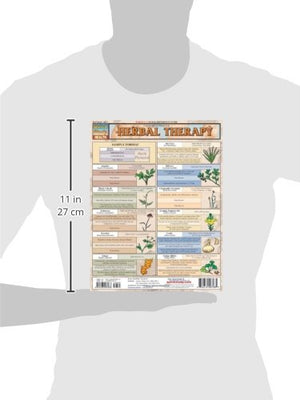 Herbal Therapy (Quick Study: Health)