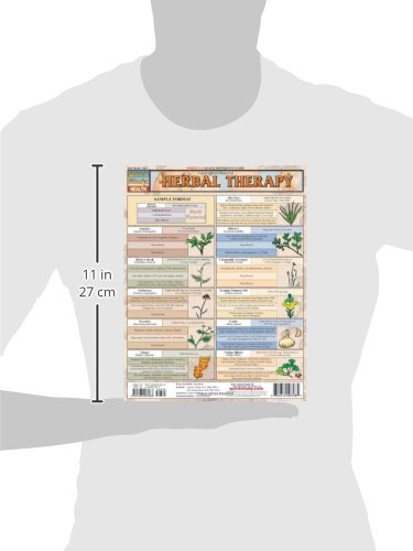 Herbal Therapy (Quick Study: Health)