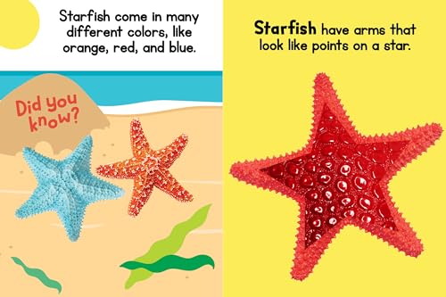 Ocean Friends  Touch and Feel Board Book  Sensory Board Book,New