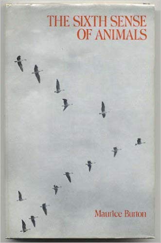 The Sixth Sense Of Animals,Used