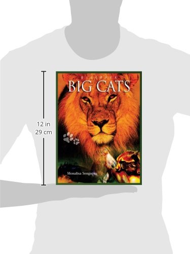 Discover Big Cats (Discover Animals),Used