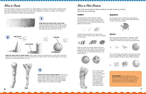 Lets Draw Dogs: Learn to draw a variety of dogs and puppies step by step! (Lets Draw, 2),Used