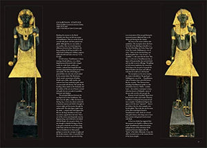 Tutankhamun: The Treasures of the Tomb,Used