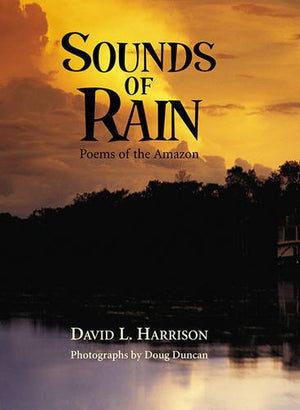 Sounds of Rain,Used