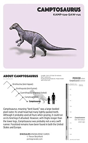 Dinosaurs Knowledge Cards Deck,Used