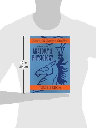 Essential Equine Studies: Anatomy and Physiology: Book One,Used