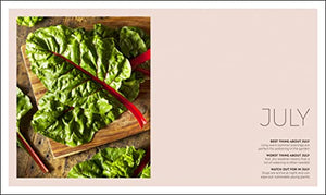 Veg In One Bed: How To Grow An Abundance Of Food In One Raised Bed, Month By Month,New