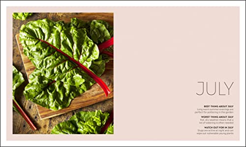 Veg In One Bed: How To Grow An Abundance Of Food In One Raised Bed, Month By Month,New