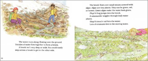 Follow the Water from Brook to Ocean (LetsReadandFindOut Science 2),Used