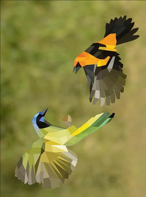 Paint by Sticker: Birds: Create 12 Stunning Images One Sticker at a Time!,Used