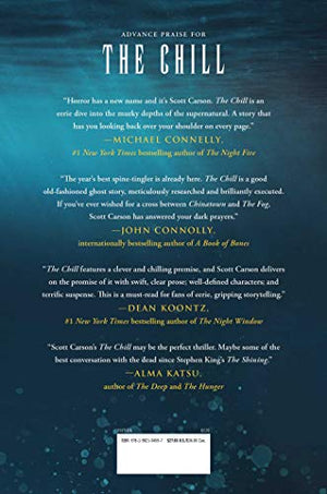 The Chill: A Novel,New