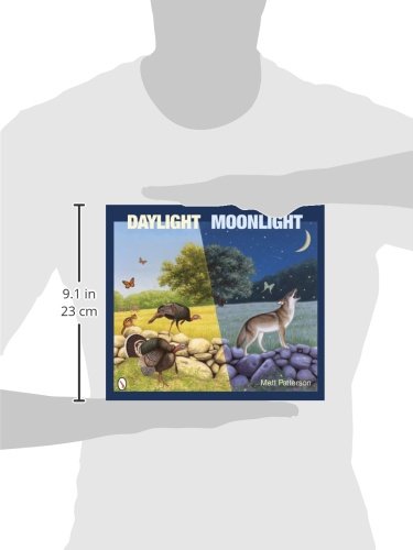 Daylight Moonlight,Used