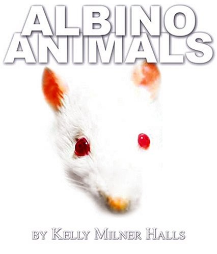 Albino Animals,Used