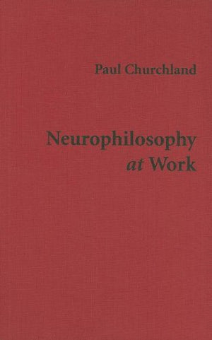 Neurophilosophy at Work,Used