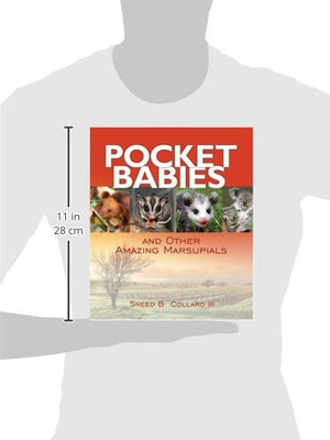 Pocket Babies (and Other Amazing Marsupials),Used