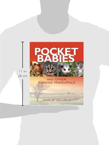 Pocket Babies (and Other Amazing Marsupials),Used