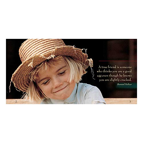 The Gift of Friendship,Used