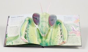 Bugs (A Kaleidopops Book)