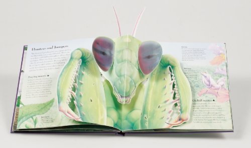 Bugs (A Kaleidopops Book)
