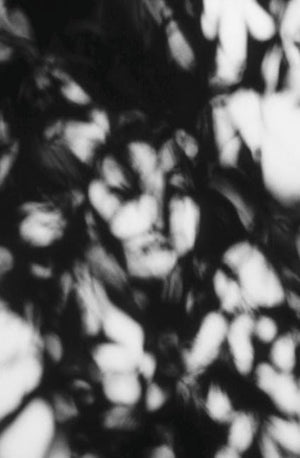 Blur of the Otherworldly: Contemporary Art, Technology, and the Paranormal (Issues in Cultural Theory),Used