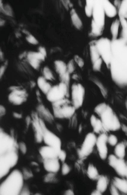 Blur of the Otherworldly: Contemporary Art, Technology, and the Paranormal (Issues in Cultural Theory),Used