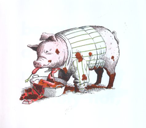 Animals Should Definitely Not Wear Clothing-used