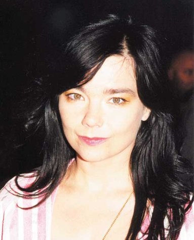 Bjrk: Wow And Flutter