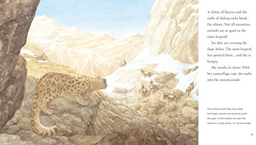 Snow Leopard: Grey Ghost of the Mountain (Nature Storybooks),Used