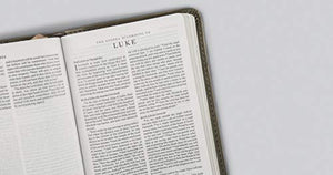 ESV Compact Bible (Pressgrain Paperback),Used