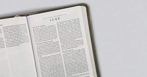 ESV Compact Bible (Pressgrain Paperback),Used