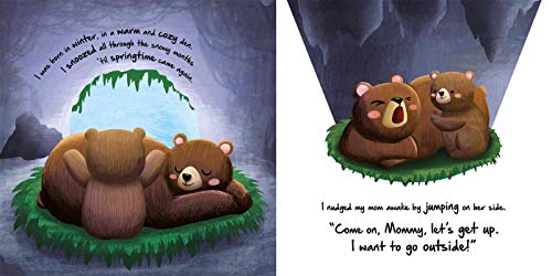 Little Bear,Used