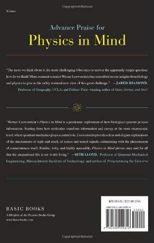 Physics in Mind: A Quantum View of the Brain,Used