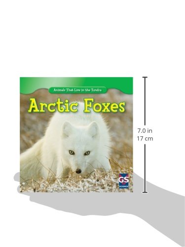 Arctic Foxes (Animals That Live in the Tundra),Used