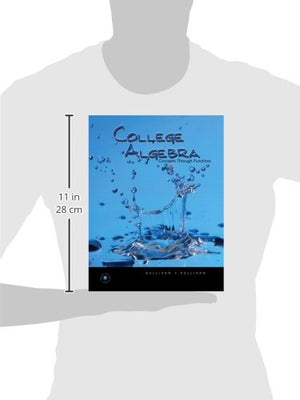 College Algebra: Concepts Throught Functions,Used