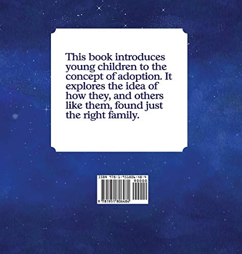 The Star That Was You: An Adoption Story,Used