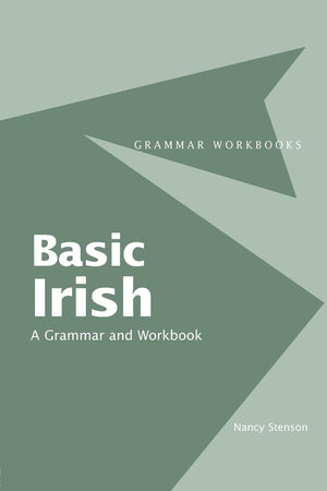 Basic Irish: A Grammar And Workbook (Routledge Grammar Workbooks)