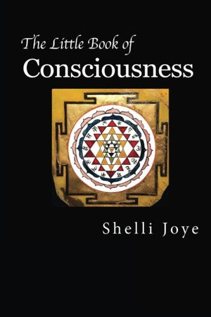 The Little Book Of Consciousness: Pribrams Holonomic Brain Theory And Bohms Implicate Order (The Little Book Series)-new